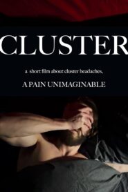 CLUSTER